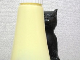 …かけてたべる？