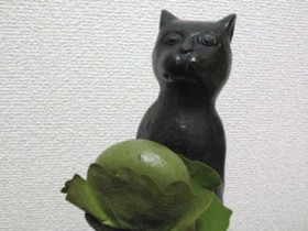 かしわもち