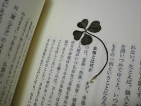 四葉のクローバー