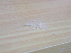 ほこり