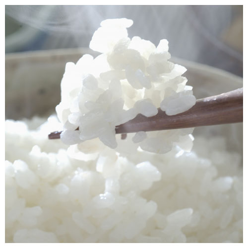 ご飯