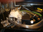 DSC01799.JPG