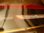 DSC01892.jpg