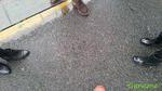 20120414_122642.jpg