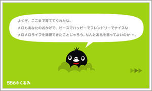 mero_090129_2.jpg