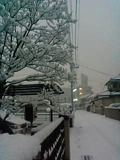 F1080226.JPG