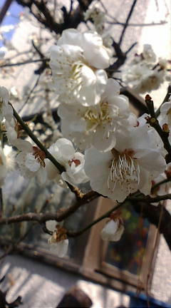 F1080269.JPG