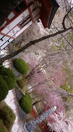 F1080321.JPG