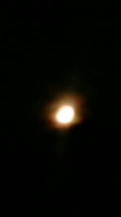 F1080436.JPG