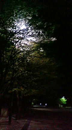 F1081036.JPG