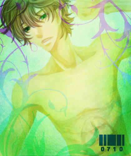 suzaku3.jpg