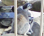 090920_140513_ed.jpg
