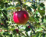 091011_105042_ed.jpg