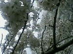 100404_1400~01001.jpg