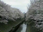 100404_1333~01001.jpg