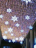 PA0_0608.JPG