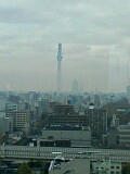 101126_1104_01001.jpg