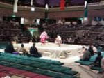 IMG00007-20110122-1254.jpg