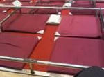 IMG00011-20110122-1425.jpg