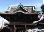IMG00029-20110123-1303.jpg