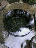 110212_1105_01001.jpg