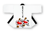 法被