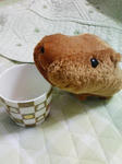 cupcapy.jpg