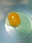 twinegg.jpg