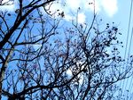 photo9.png