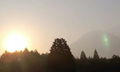 1214201239_209s.jpg