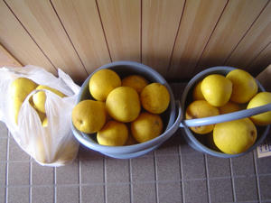DSC01613.JPG