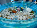 edogawa2009a1.jpg