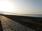 P1000004.jpg