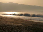 P1000007.jpg