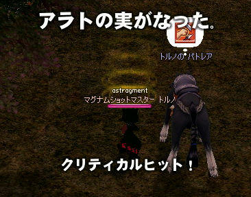 敵を倒して実がなるってどんな仕組みなの…