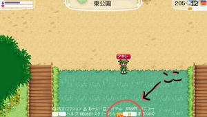 akito_15_12.jpg