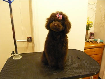 20110128-3.jpg