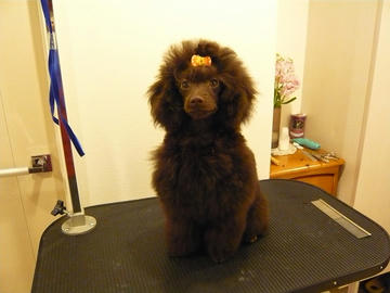 20110309-3.jpg