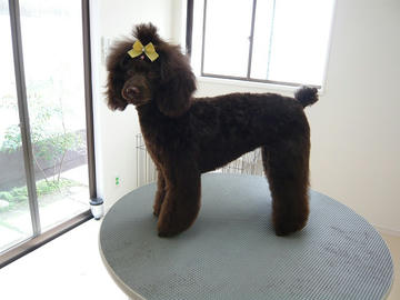 20110517.jpg