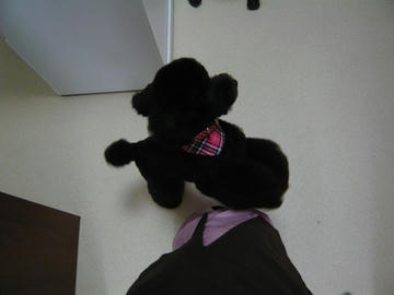 b-P1050300.jpg