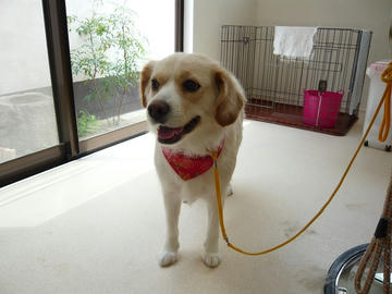 b-P1050996.jpg