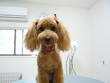b-P1070430.jpg