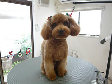 b-P1070545.jpg