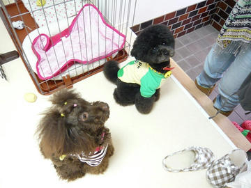 b-P1080657.jpg