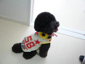 b-P1090918.jpg