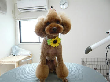 b-P1100007.jpg