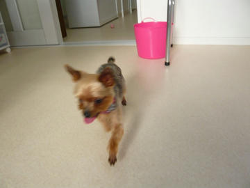 b-P1100048.jpg