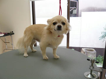 b-P1100443.jpg