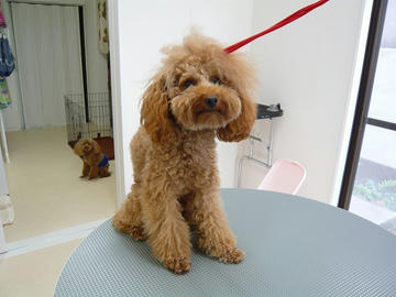 b-P1100609.jpg