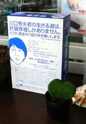 お願い